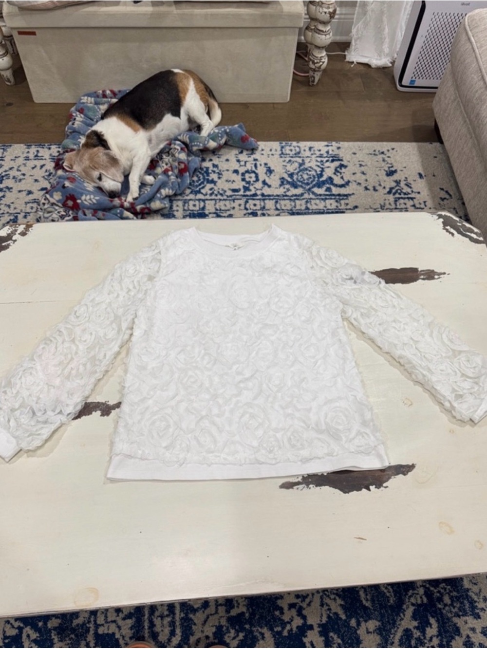 Joh. White Rose Petal Sheer Sleeve Top Cotton Blend Long Sleeve XS - Picture 5 of 9